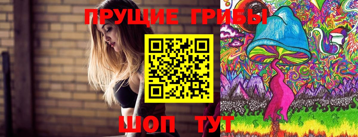 Псилоцибиновые грибы Cubensis  Галлюциногенные грибы Cubensis  Касимов  Вход с VPN 