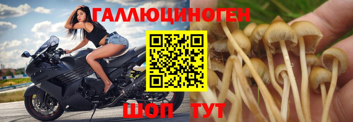 Галлюциногенные грибы Magic Shrooms Касимов